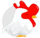 Gallo